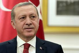 ergdogan