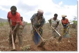 farmers