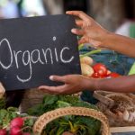organic_625x350_61446119613