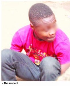 the suspect