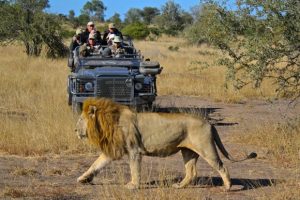 IMG_9522-580×387