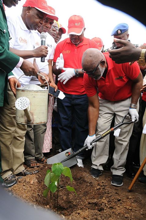 akeredolu
