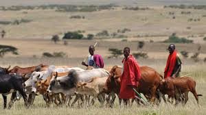 herdsmen