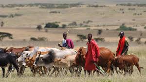 herdsmen