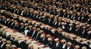 law graduates
