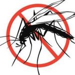 malaria