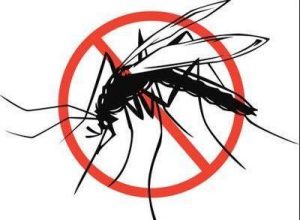malaria