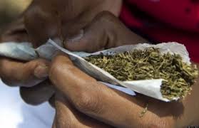 marijuana