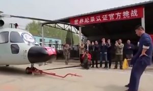 penis
