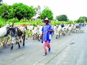 Herdsmen