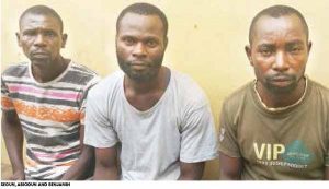 Segun abbey and co