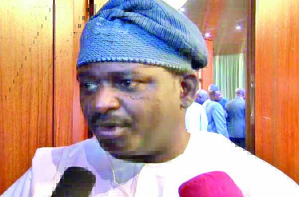 Femi Adesina