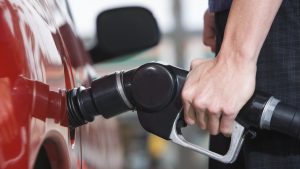 egypt fuel