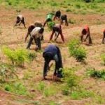 farmers