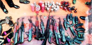 gun harvest