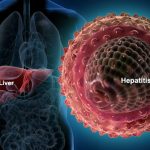 hepatitis_virus