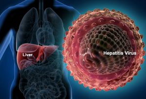 hepatitis_virus