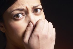 odour