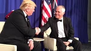 turnbulltrump