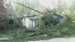 windstorm-2