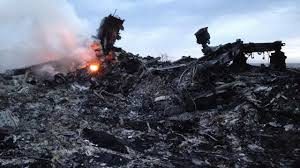 014 Malaysia plane crash