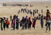 300 Syrian refugees