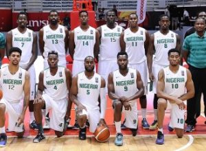 DTigers OF NIGERIA
