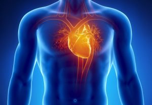 HEART