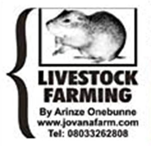 livestock