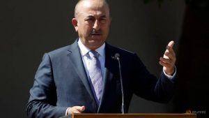 Turkery miniter