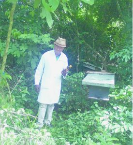 bee man
