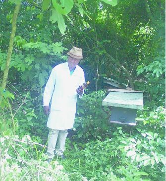 bee man