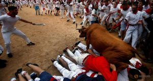 bull 2