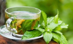 green tea