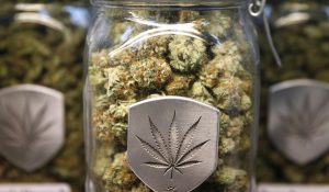 hemp