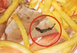 lizard food