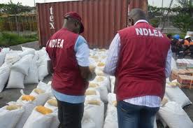 ndlea
