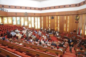 nigerian-senate