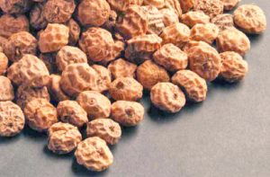 TIGER NUT