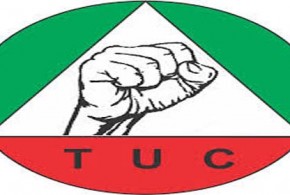 TUC1-290×195