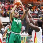 afrobasket