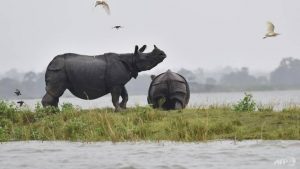 asia floods