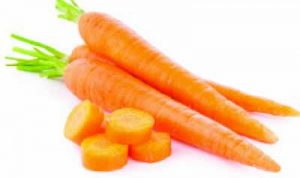 carrot
