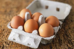 egg