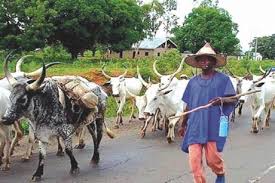 herder