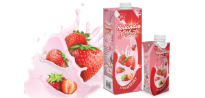 hollandia
