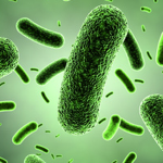 infection