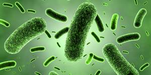 infection