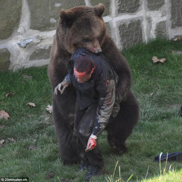 bear