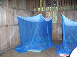 mosquito nets